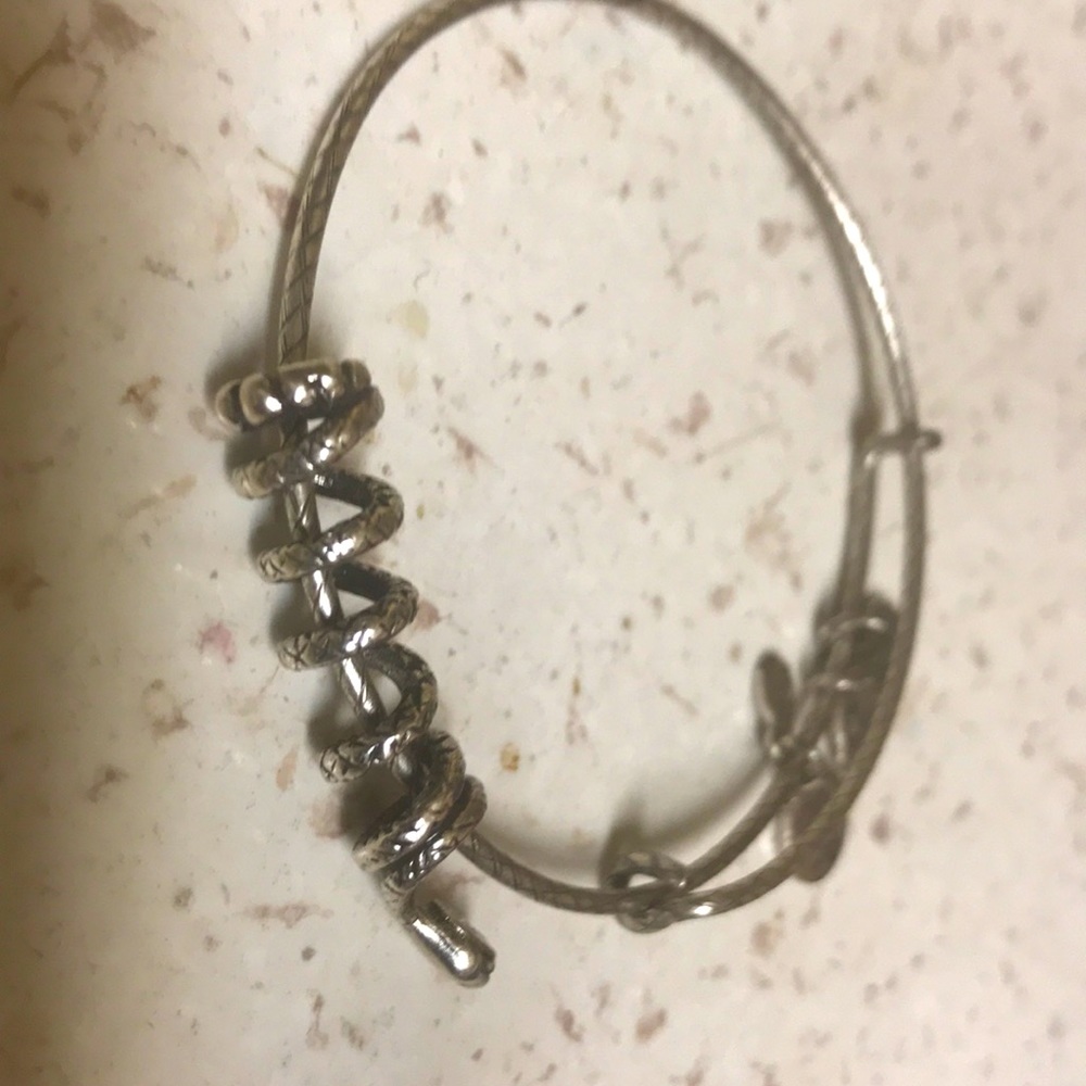 Alex and Ani Snake Coil Bracelet